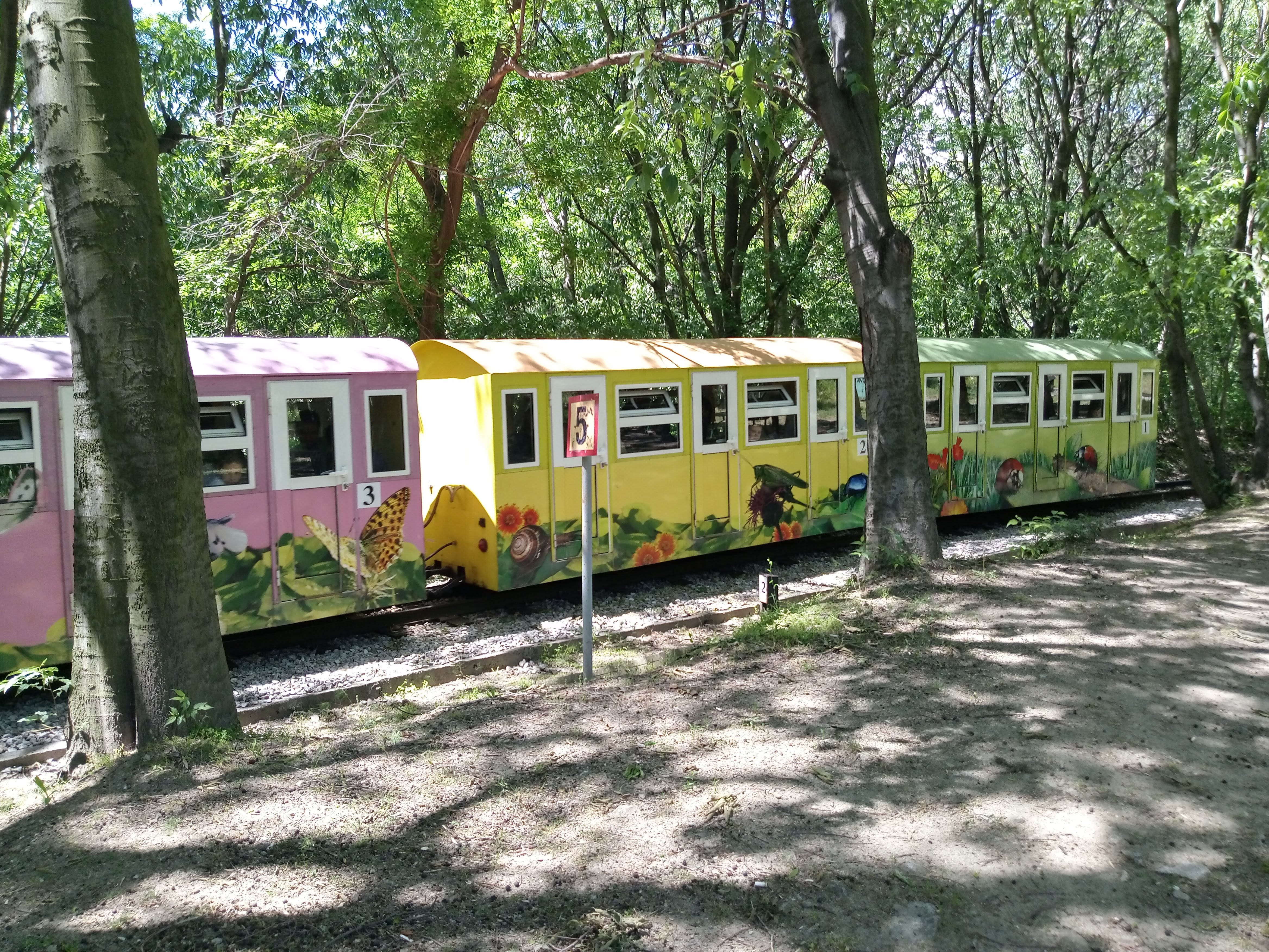 Въжен парк в приключенския център на Младежки хълм